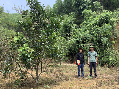 Xem phong thủy xây khu chăn nuôi em Cường Oanh Km25 Tuyên Quang