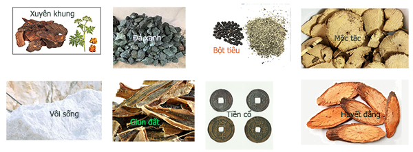 Dược liệu dùng kích thúc làm vượng cung trong phong thủy